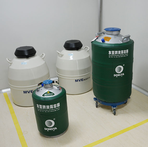 东亚液氮容器50L